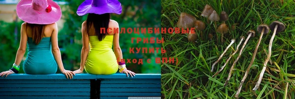 PSILOCYBIN Тында