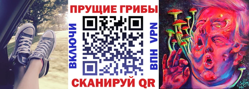 Купить закладки  Калтан  Галлюциногенные грибы Psilocybe 